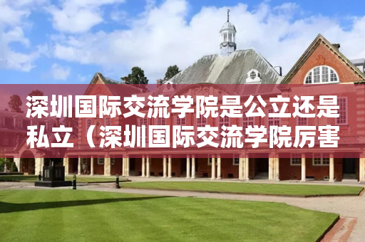 深圳国际交流学院是公立还是私立（深圳国际交流学院厉害吗）