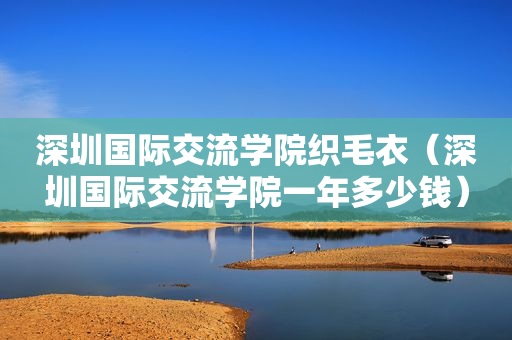 深圳国际交流学院织毛衣（深圳国际交流学院一年多少钱）