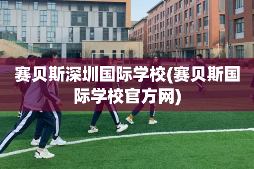 赛贝斯深圳国际学校(赛贝斯国际学校官方网)