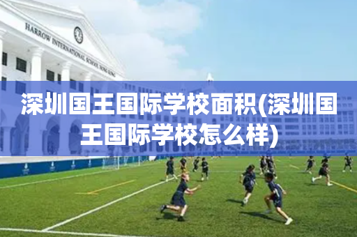 深圳国王国际学校面积(深圳国王国际学校怎么样)