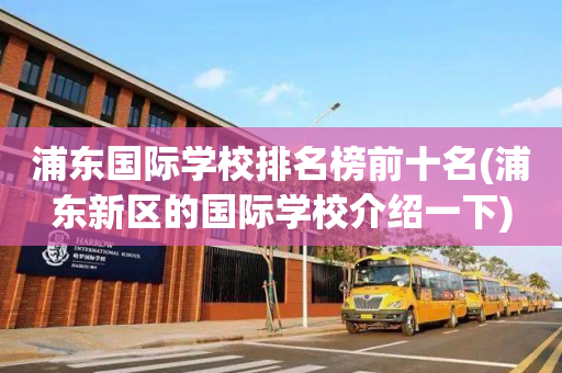 浦东国际学校排名榜前十名(浦东新区的国际学校介绍一下)