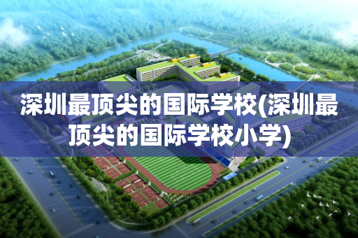 深圳最顶尖的国际学校(深圳最顶尖的国际学校小学)