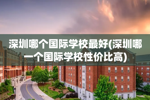 深圳哪个国际学校最好(深圳哪一个国际学校性价比高)