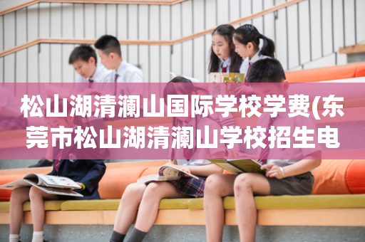 松山湖清澜山国际学校学费(东莞市松山湖清澜山学校招生电话号码)