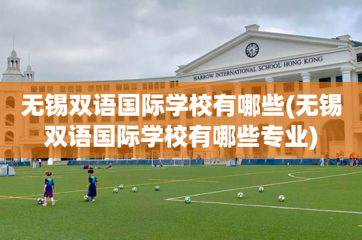 无锡双语国际学校有哪些(无锡双语国际学校有哪些专业)