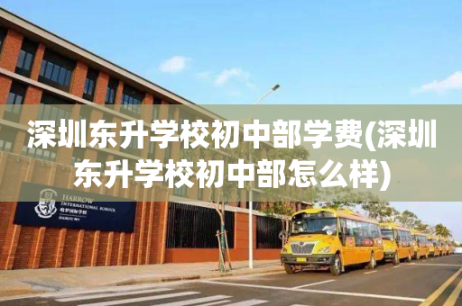 深圳东升学校初中部学费(深圳东升学校初中部怎么样)
