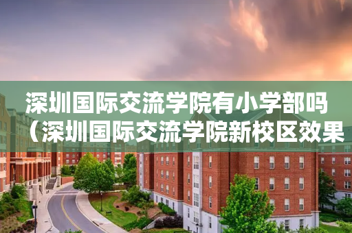 深圳国际交流学院有小学部吗（深圳国际交流学院新校区效果图）