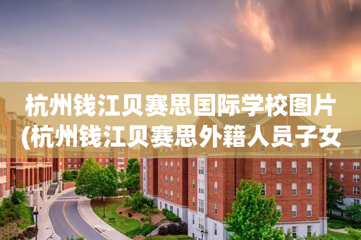 杭州钱江贝赛思国际学校图片(杭州钱江贝赛思外籍人员子女学校)