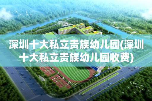 深圳十大私立贵族幼儿园(深圳十大私立贵族幼儿园收费)