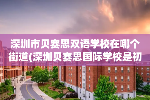深圳市贝赛思双语学校在哪个街道(深圳贝赛思国际学校是初中还是高中)