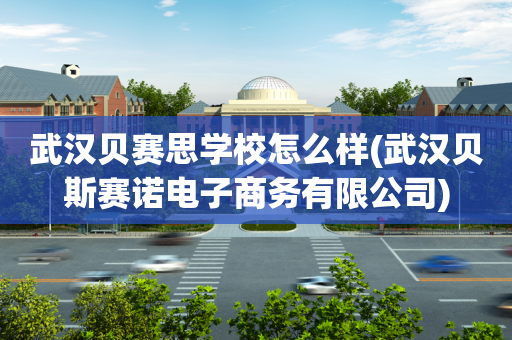 武汉贝赛思学校怎么样(武汉贝斯赛诺电子商务有限公司)