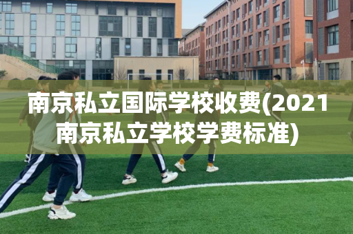 南京私立国际学校收费(2021南京私立学校学费标准)