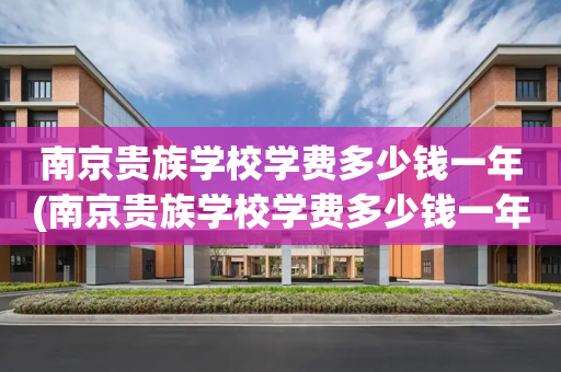 南京贵族学校学费多少钱一年(南京贵族学校学费多少钱一年啊)