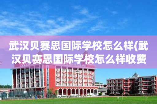 武汉贝赛思国际学校怎么样(武汉贝赛思国际学校怎么样收费)