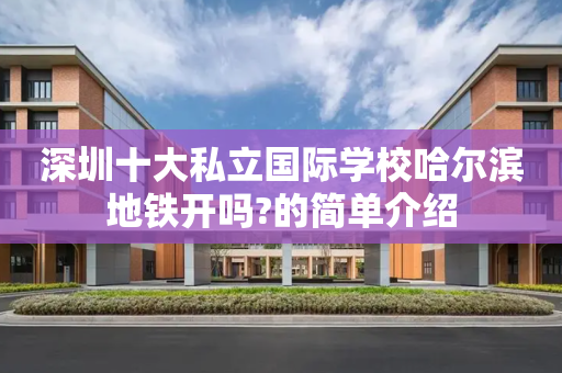 深圳十大私立国际学校哈尔滨地铁开吗?的简单介绍