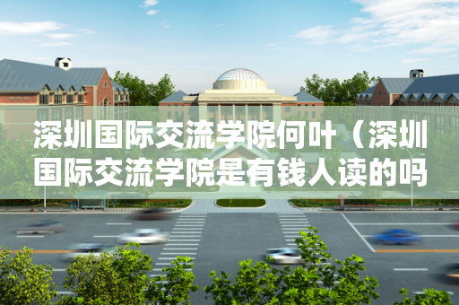 深圳国际交流学院何叶（深圳国际交流学院是有钱人读的吗）