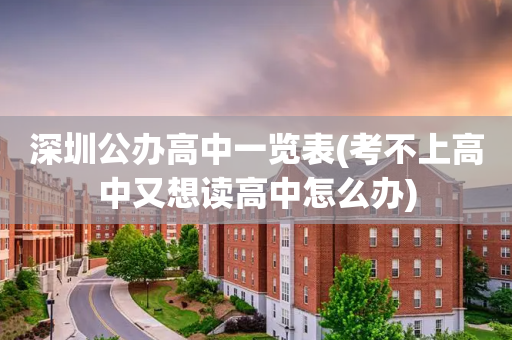 深圳公办高中一览表(考不上高中又想读高中怎么办)