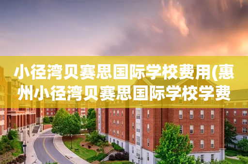 小径湾贝赛思国际学校费用(惠州小径湾贝赛思国际学校学费)