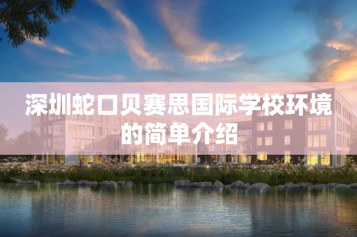 深圳蛇口贝赛思国际学校环境的简单介绍