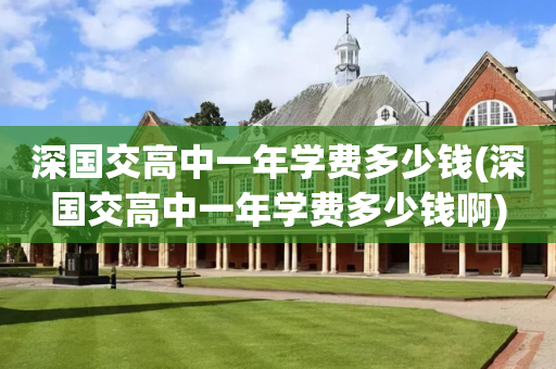 深国交高中一年学费多少钱(深国交高中一年学费多少钱啊)