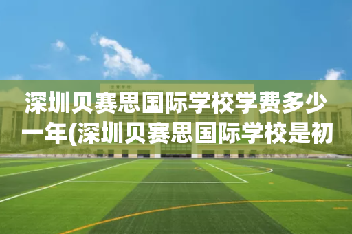 深圳贝赛思国际学校学费多少一年(深圳贝赛思国际学校是初中还是高中)