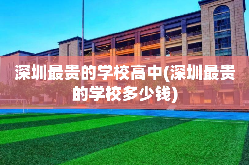 深圳最贵的学校高中(深圳最贵的学校多少钱)