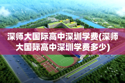 深师大国际高中深圳学费(深师大国际高中深圳学费多少)