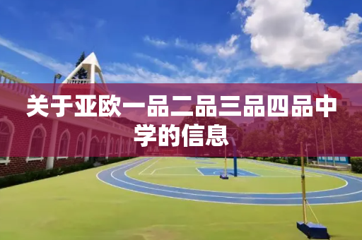关于亚欧一品二品三品四品中学的信息