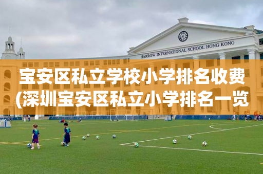 宝安区私立学校小学排名收费(深圳宝安区私立小学排名一览表)