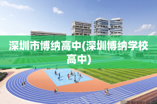 深圳市博纳高中(深圳博纳学校高中)