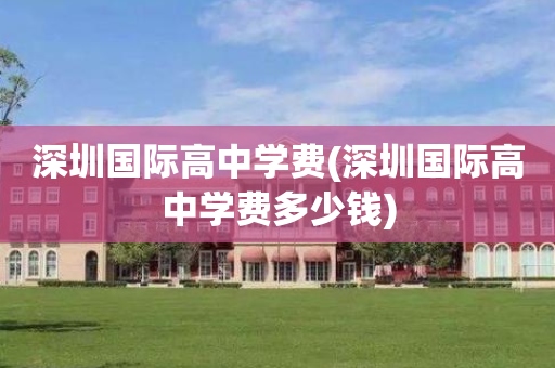 深圳国际高中学费(深圳国际高中学费多少钱)