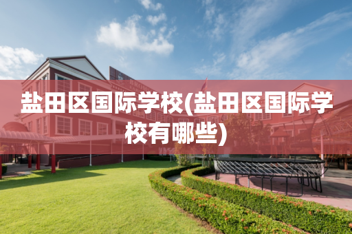 盐田区国际学校(盐田区国际学校有哪些)