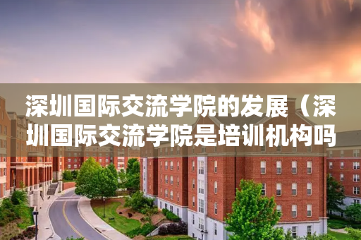 深圳国际交流学院的发展（深圳国际交流学院是培训机构吗）