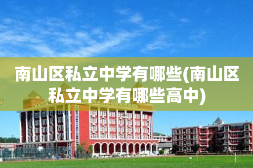 南山区私立中学有哪些(南山区私立中学有哪些高中)