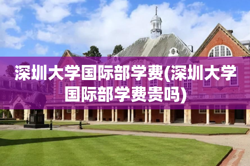 深圳大学国际部学费(深圳大学国际部学费贵吗)
