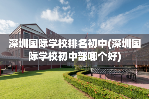 深圳国际学校排名初中(深圳国际学校初中部哪个好)