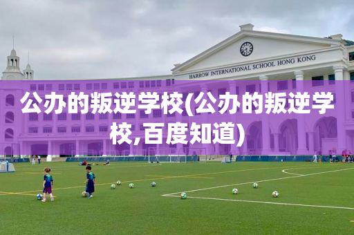 公办的叛逆学校(公办的叛逆学校,百度知道)