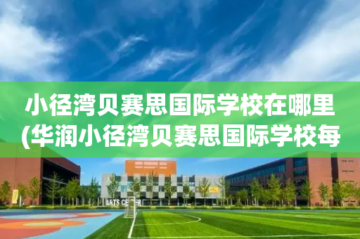 小径湾贝赛思国际学校在哪里(华润小径湾贝赛思国际学校每年费用)