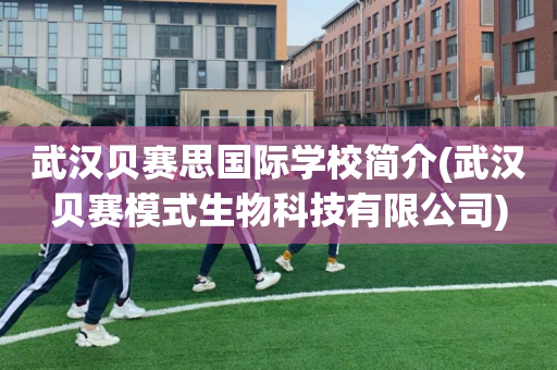 武汉贝赛思国际学校简介(武汉贝赛模式生物科技有限公司)