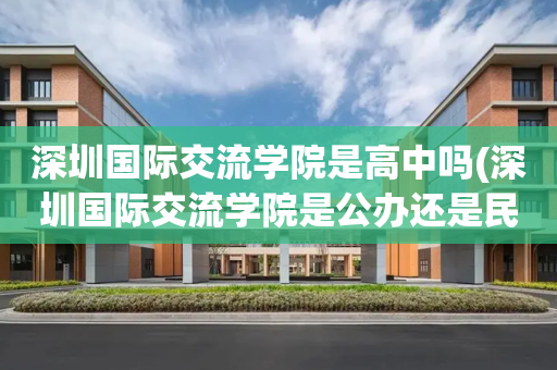 深圳国际交流学院是高中吗(深圳国际交流学院是公办还是民办)