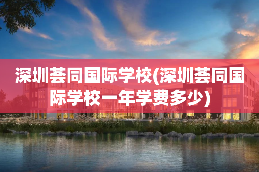 深圳荟同国际学校(深圳荟同国际学校一年学费多少)