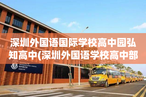 深圳外国语国际学校高中园弘知高中(深圳外国语学校高中部是公立还是私立学校)