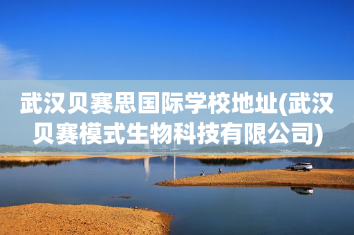 武汉贝赛思国际学校地址(武汉贝赛模式生物科技有限公司)