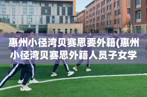 惠州小径湾贝赛思要外籍(惠州小径湾贝赛思外籍人员子女学校)