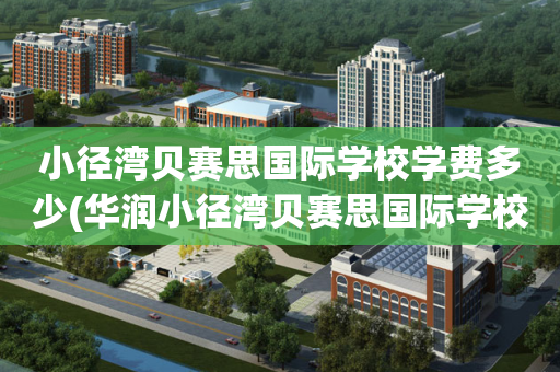 小径湾贝赛思国际学校学费多少(华润小径湾贝赛思国际学校每年费用)