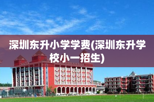 深圳东升小学学费(深圳东升学校小一招生)