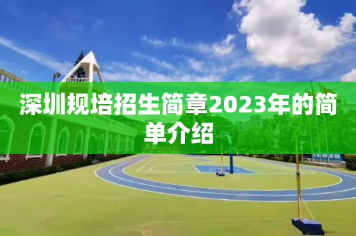 深圳规培招生简章2023年的简单介绍