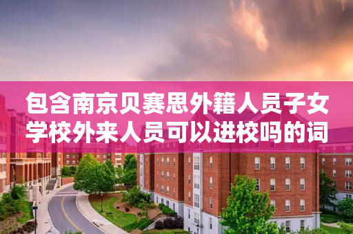 包含南京贝赛思外籍人员子女学校外来人员可以进校吗的词条