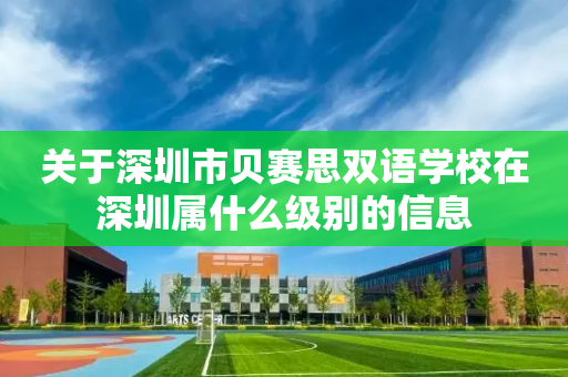 关于深圳市贝赛思双语学校在深圳属什么级别的信息
