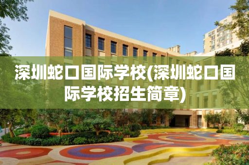 深圳蛇口国际学校(深圳蛇口国际学校招生简章)